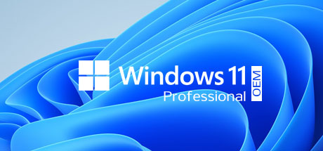 Buy Windows 11 Professional OEM for Software Software